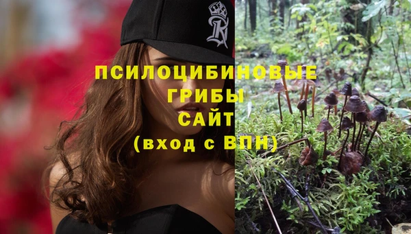 ПСИЛОЦИБИНОВЫЕ ГРИБЫ Баксан
