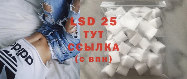ПСИЛОЦИБИНОВЫЕ ГРИБЫ Баксан