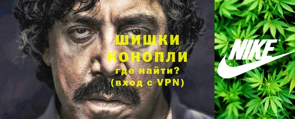 ПСИЛОЦИБИНОВЫЕ ГРИБЫ Баксан