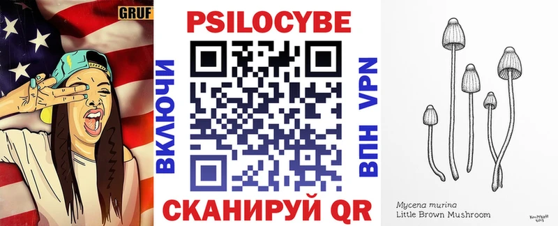 Галлюциногенные грибы Psilocybe  Купить закладки  Динская 